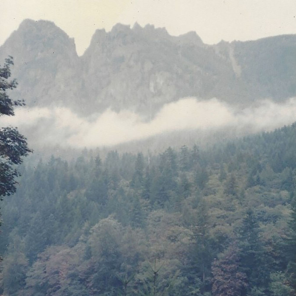 Genre of Silence - Matt Briggs
